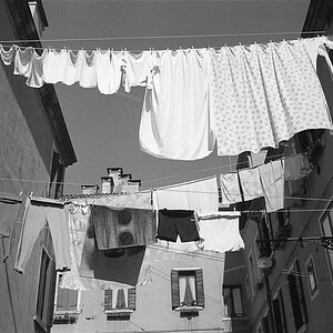 New Venice 20110321 247