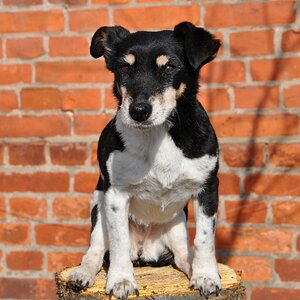 Motte,16 Jahre