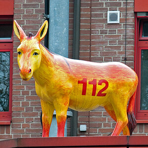 WSE 56