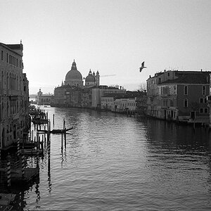 New Venice 20110321 093