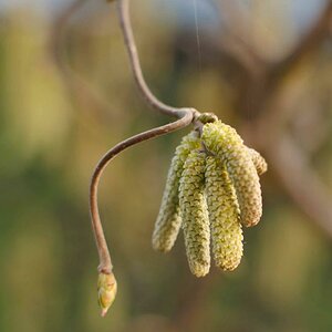 20110322 DSC 6341