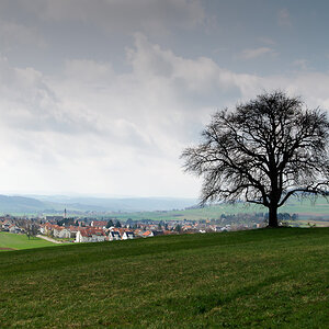 20110328 DSC 6504