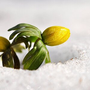 Frühling