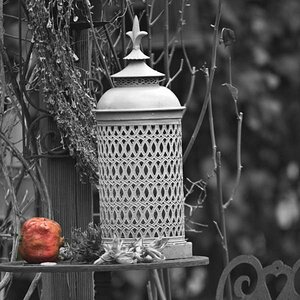 DSC 1259 (FILEminimizer)