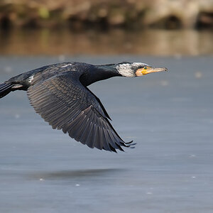 Überflug
