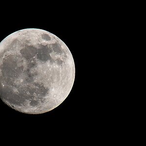 Mond