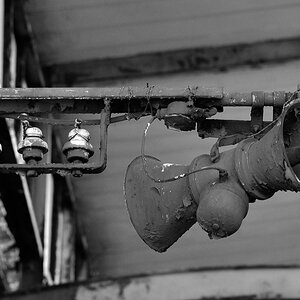 DSC 0038hlm