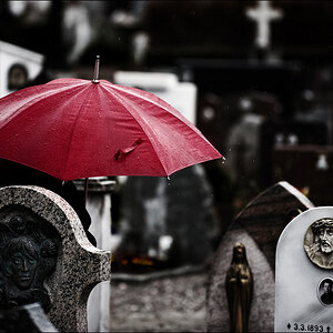 regen1
