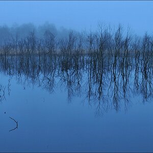 aacomp Hasenmoor 20110319 0164