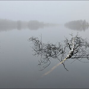 aacomp Hasenmoor 20110319 0333ab