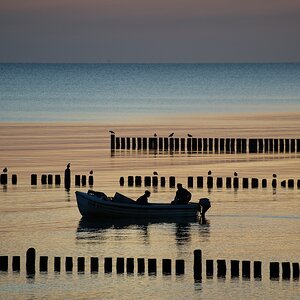 Der frühe Fischer fängt den Fisch