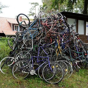 Fahrrad Verleih: "Na dann suchen Sie sich mal eins aus !"