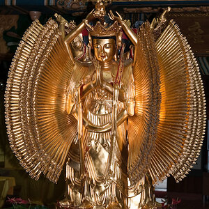 Buddhas in HK