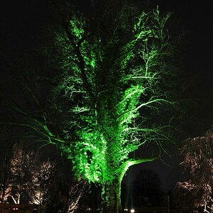 Parkleuchten Gruga 2011