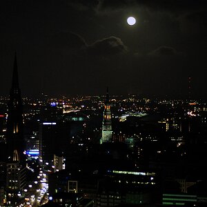 DSC 5565 2