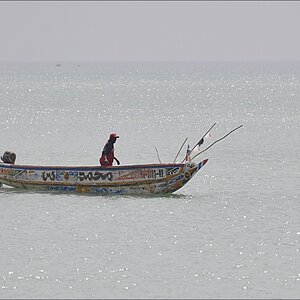 comp 2 2Senegal 1 394b
