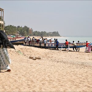 comp 2Senegal 3 028b