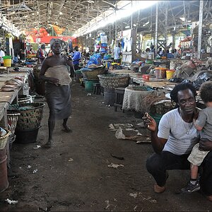 comp 4Senegal 3 329b