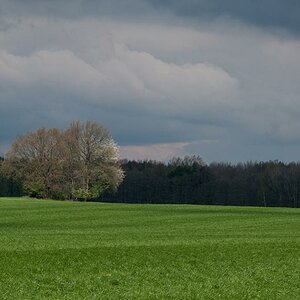 20110415 DSC6466 Aprilstimmung 1
