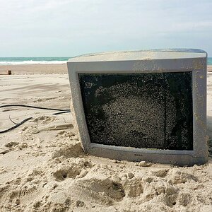 Strandgut