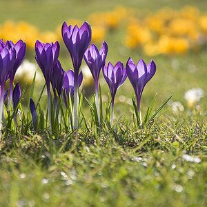 DSC 3509 fürs Forum