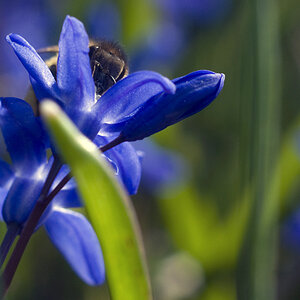 DSC 3635 1 fürs Forum