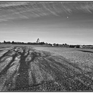 St. Severin, Baumschatten, Mond