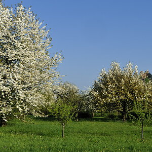 2011040908584200