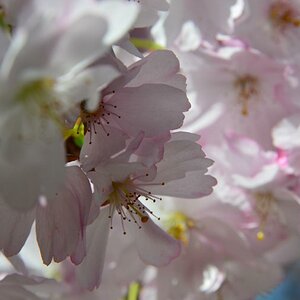 DSC 1755 (1280x848)
Meine Sicht vom Frühling