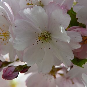 DSC 1761 (1280x848)
Meine Sicht vom Frühling