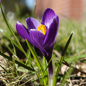 2011 03 06 15 08 25 1
