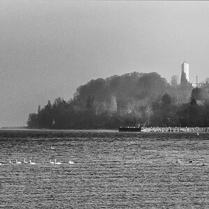 20110305 DSC 6198