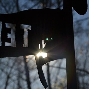 Schild