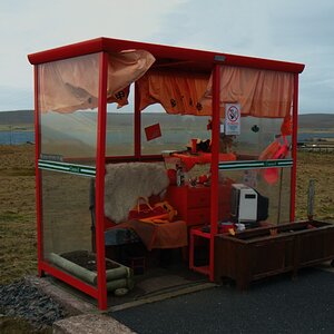 DSC 6187