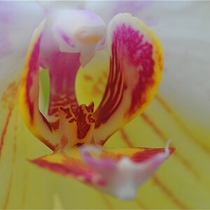 MER 0894