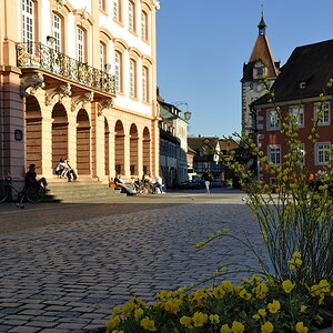 2011040818424884