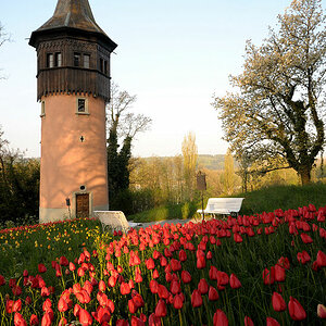 DSC 1957 Turm 2 Forum