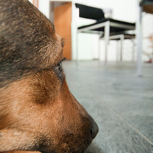 Alles im Blick