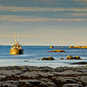 NFF Whalewatching 280