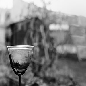 20110325 DSC 6406 Bearbeitet