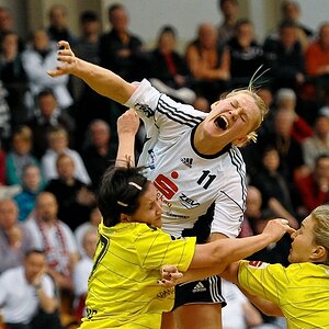 BSV BVB6