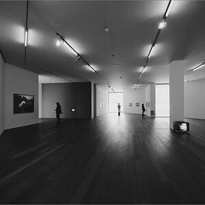 cR Mudam 37