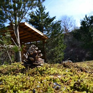 Natur