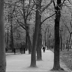 BerlinDSC 0040