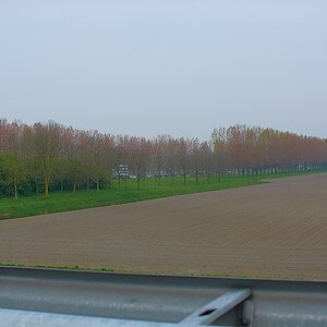 SC DSC 6569