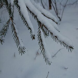 k Winterbilder 01