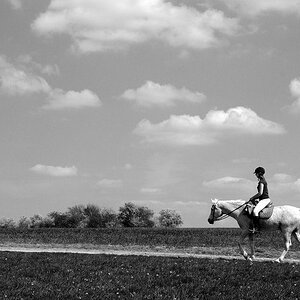DSC 2292 Frühlingsritt SW Forum