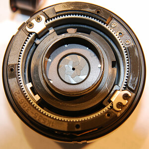 AF-Nikkor 24/2.8 mit verölter Blende, dem ich die Blende entölt habe.