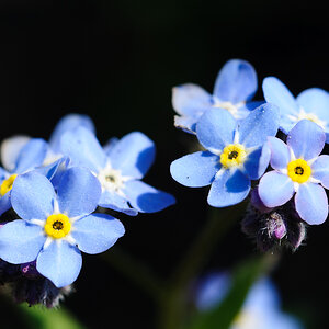 2011 04 18 12 50 31 1