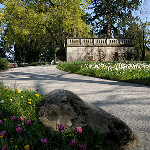 DSC 2108 Großherzog Friedrich Terasse Forum